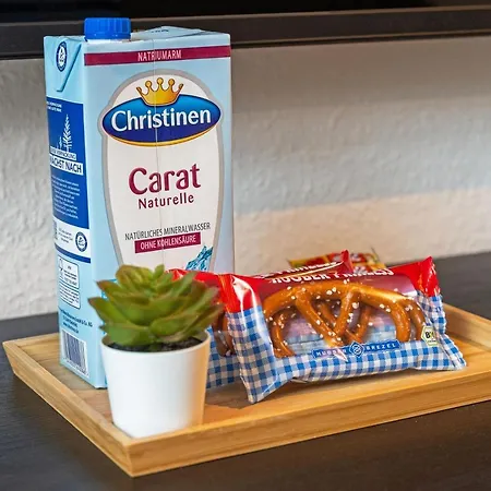 Helles Modernes Zentrales Studio, Nahe Btu, Vollausgestattet&parkplatz Auf Anfrage Apartment *