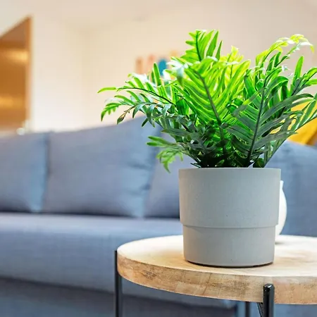 Helles Modernes Zentrales Studio, Nahe Btu, Vollausgestattet&parkplatz Auf Anfrage Appartamento *